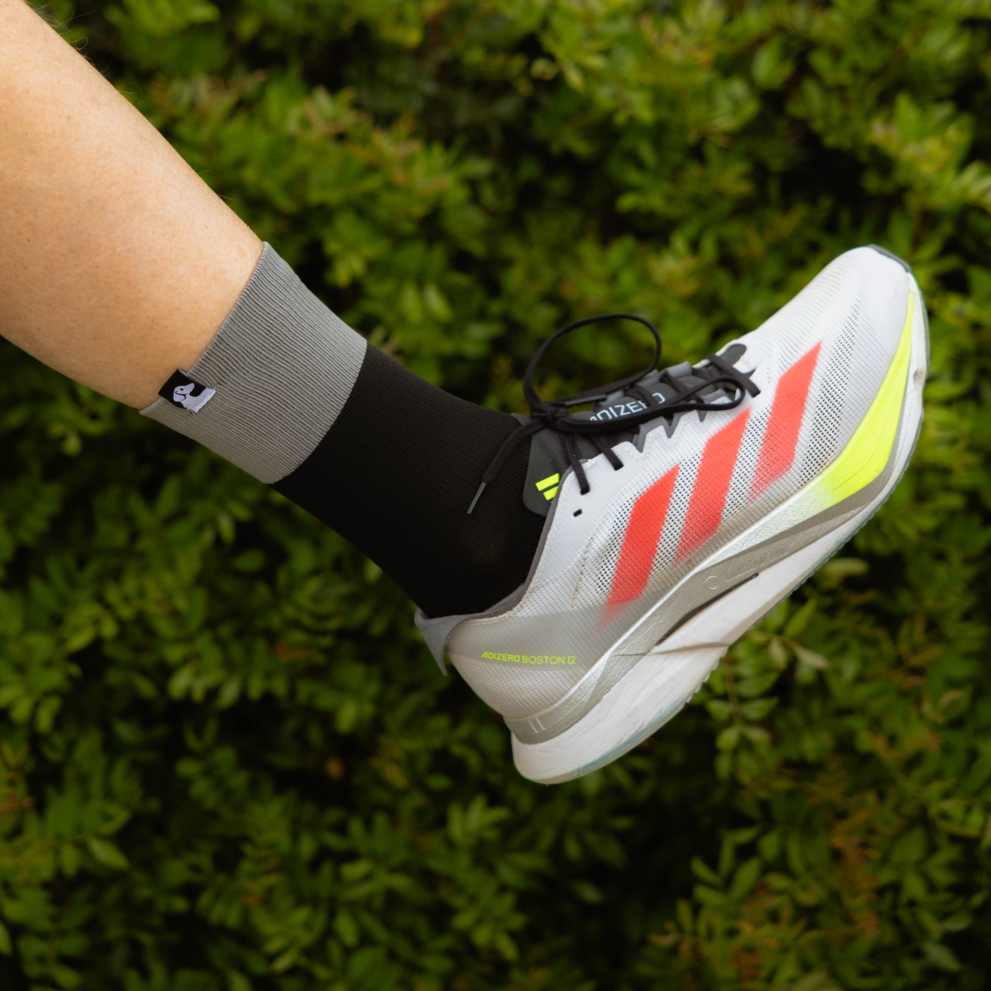 INSTINCT · black/grey
